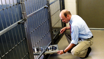 Sherwood kennel